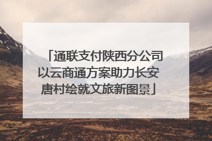通联支付陕西分公司以云商通方案助力长安唐村绘就文旅新图景