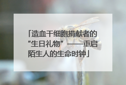 造血干细胞捐献者的“生日礼物”——重启陌生人的生命时钟