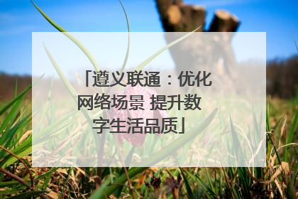 遵义联通：优化网络场景 提升数字生活品质