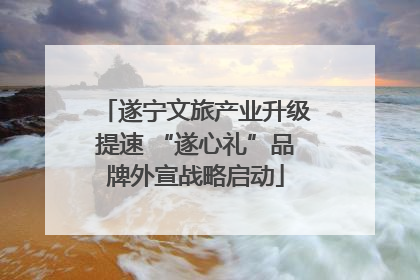 遂宁文旅产业升级提速 “遂心礼”品牌外宣战略启动