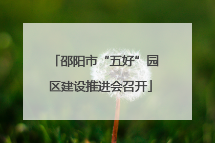 邵阳市“五好”园区建设推进会召开