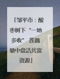 邹平市：酸枣树下“一地多收” 莲藕塘中盘活共富资源