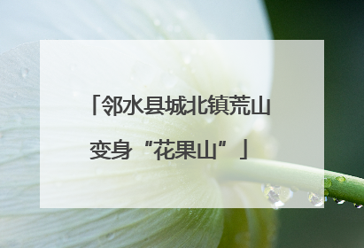 邻水县城北镇荒山变身“花果山”