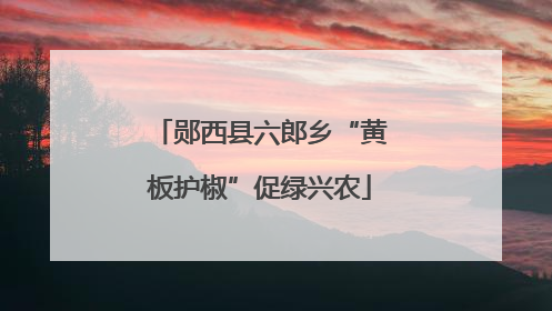 郧西县六郎乡“黄板护椒”促绿兴农