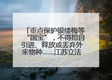 重点保护银缕梅等“国宝”，不得擅自引进、释放或丢弃外来物种……江苏立法保护身边的生物“朋友圈”