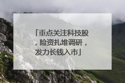 重点关注科技股，险资扎堆调研，发力长钱入市