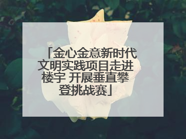 金心金意新时代文明实践项目走进楼宇 开展垂直攀登挑战赛