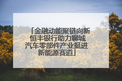 金融动能聚链向新 恒丰银行助力聊城汽车零部件产业挺进新能源赛道