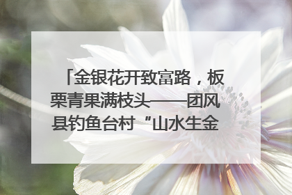 金银花开致富路，板栗青果满枝头——团风县钓鱼台村“山水生金”谱写共富新篇章