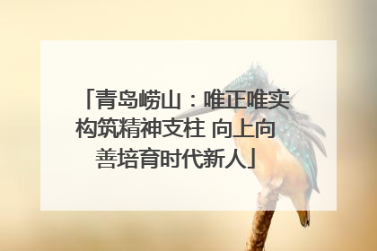 青岛崂山：唯正唯实构筑精神支柱 向上向善培育时代新人