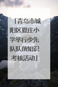 青岛市城阳区夏庄小学举行少先队队前知识考核活动
