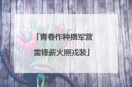 青春作种播军营 雷锋薪火照戎装