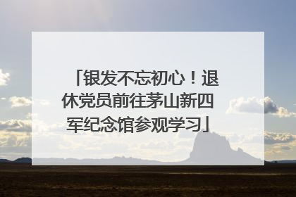 银发不忘初心！退休党员前往茅山新四军纪念馆参观学习