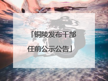 铜陵发布干部任前公示公告