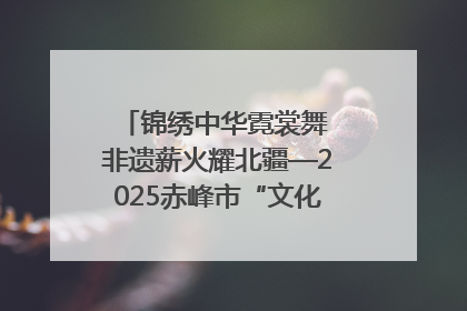 锦绣中华霓裳舞 非遗薪火耀北疆—2025赤峰市“文化和自然遗产日”非遗宣传展示活动纪实