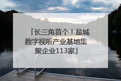 长三角首个！盐城数字视听产业基地集聚企业113家