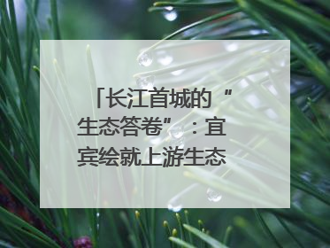 长江首城的“生态答卷”：宜宾绘就上游生态屏障新图景｜中华环保世纪行