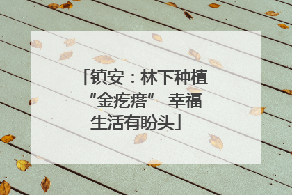 镇安：林下种植“金疙瘩” 幸福生活有盼头