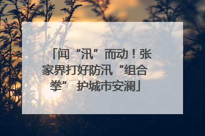 闻“汛”而动！张家界打好防汛“组合拳” 护城市安澜