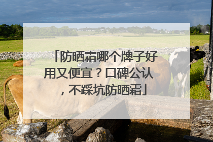 防晒霜哪个牌子好用又便宜？口碑公认，不踩坑防晒霜