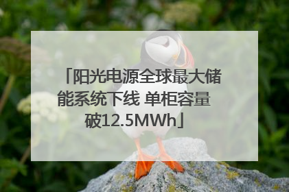 阳光电源全球最大储能系统下线 单柜容量破12.5MWh
