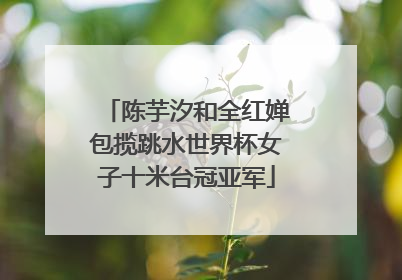 陈芋汐和全红婵包揽跳水世界杯女子十米台冠亚军