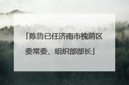 陈鲁已任济南市槐荫区委常委、组织部部长
