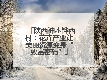 陕西神木铧西村：花卉产业让美丽资源变身“致富密码”