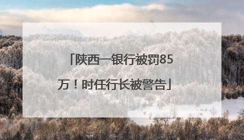 陕西一银行被罚85万！时任行长被警告