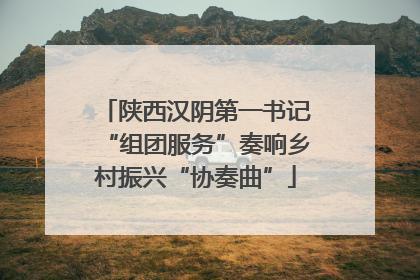 陕西汉阴第一书记“组团服务”奏响乡村振兴“协奏曲”