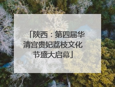 陕西：第四届华清宫贵妃荔枝文化节盛大启幕