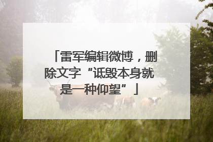 雷军编辑微博，删除文字“诋毁本身就是一种仰望”