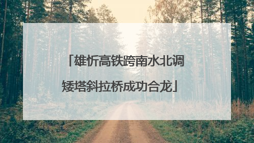 雄忻高铁跨南水北调矮塔斜拉桥成功合龙