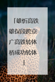 雄忻高铁雄保段跨京广高铁转体桥成功转体