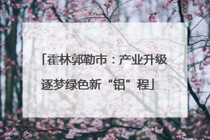 霍林郭勒市：产业升级逐梦绿色新“铝”程
