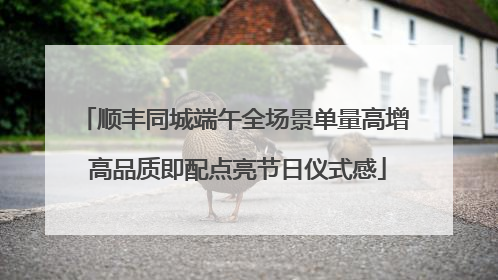 顺丰同城端午全场景单量高增 高品质即配点亮节日仪式感