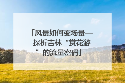 风景如何变场景——探析吉林“赏花游”的流量密码