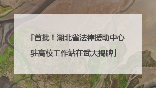 首批！湖北省法律援助中心驻高校工作站在武大揭牌