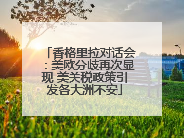 香格里拉对话会：美欧分歧再次显现 美关税政策引发各大洲不安