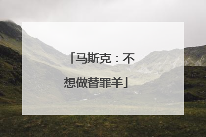 马斯克：不想做替罪羊