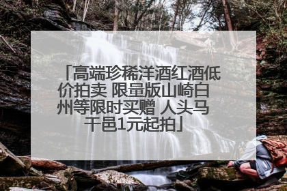 高端珍稀洋酒红酒低价拍卖 限量版山崎白州等限时买赠 人头马干邑1元起拍