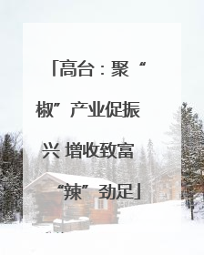 高台：聚“椒”产业促振兴 增收致富“辣”劲足