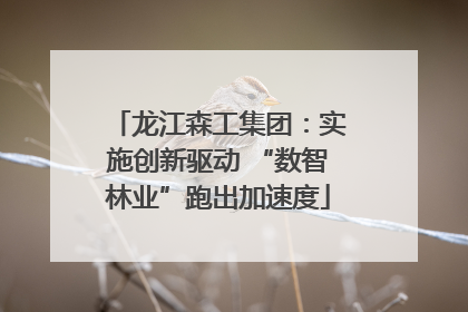 龙江森工集团：实施创新驱动 “数智林业”跑出加速度