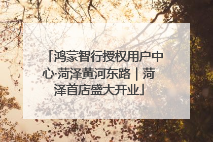 鸿蒙智行授权用户中心·菏泽黄河东路｜菏泽首店盛大开业