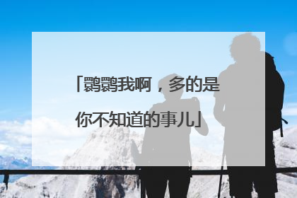 鹮鹮我啊，多的是你不知道的事儿