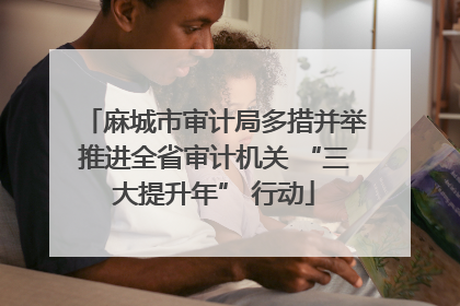 麻城市审计局多措并举推进全省审计机关 “三大提升年” 行动