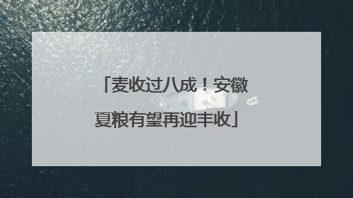 麦收过八成！安徽夏粮有望再迎丰收