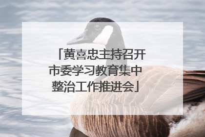 黄喜忠主持召开市委学习教育集中整治工作推进会