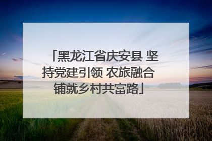 黑龙江省庆安县 坚持党建引领 农旅融合铺就乡村共富路