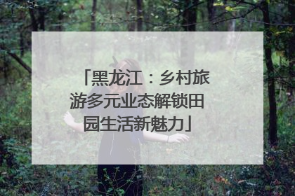 黑龙江：乡村旅游多元业态解锁田园生活新魅力